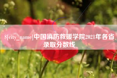 攀枝花中国消防救援学院2021年各省录取分数线
