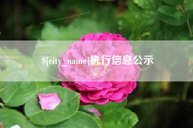 攀枝花执行信息公示