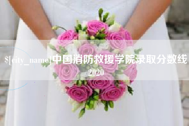 攀枝花中国消防救援学院录取分数线2020