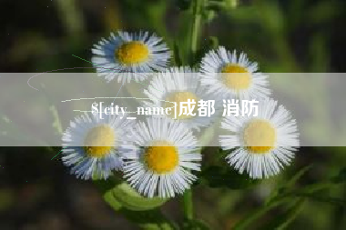 攀枝花成都 消防