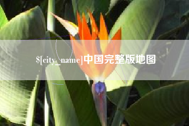 攀枝花中国完整版地图