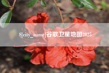 攀枝花谷歌卫星地图2025