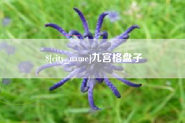 攀枝花九宫格盘子