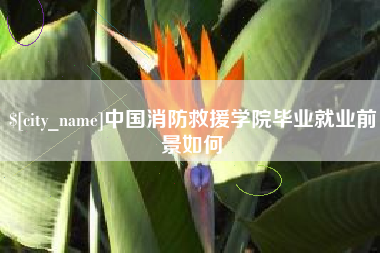 攀枝花中国消防救援学院毕业就业前景如何