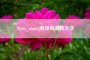 攀枝花有没有消防大学