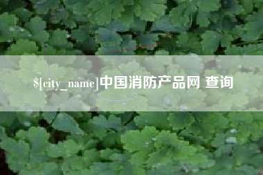 攀枝花中国消防产品网 查询