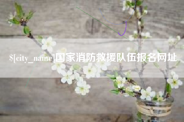 攀枝花国家消防救援队伍报名网址