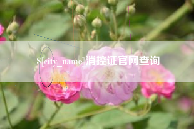 攀枝花消控证官网查询