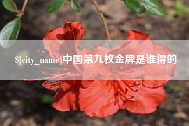 攀枝花中国第九枚金牌是谁得的