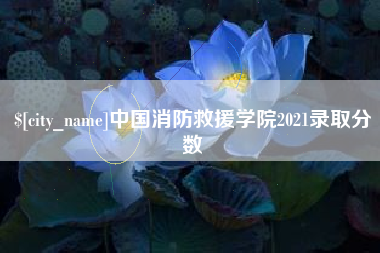 攀枝花中国消防救援学院2021录取分数
