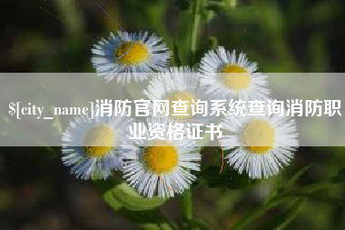 攀枝花消防官网查询系统查询消防职业资格证书