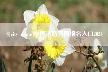 攀枝花中国消防官网报名入口2024