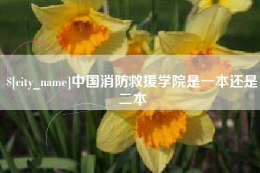 攀枝花中国消防救援学院是一本还是二本