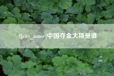 攀枝花中国夺金大项是谁