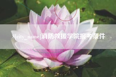 攀枝花消防救援学院报考条件