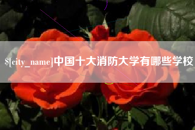 攀枝花中国十大消防大学有哪些学校