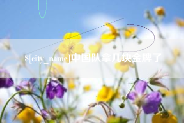 攀枝花中国队拿几块金牌了