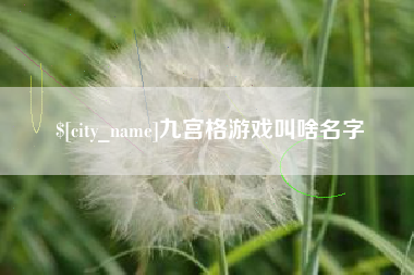 攀枝花九宫格游戏叫啥名字