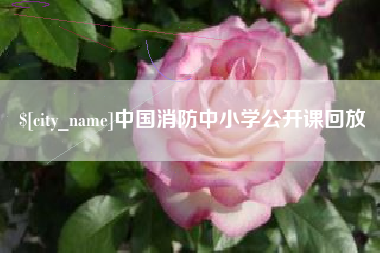 攀枝花中国消防中小学公开课回放