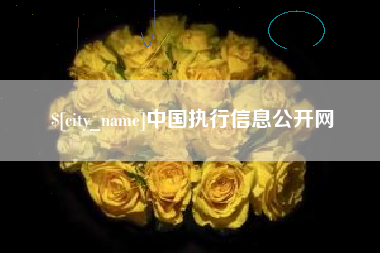 攀枝花中国执行信息公开网