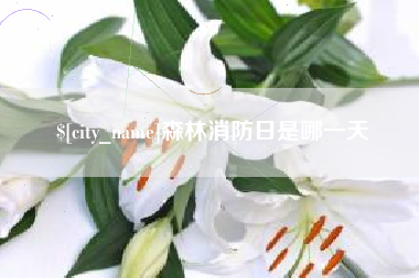 攀枝花森林消防日是哪一天