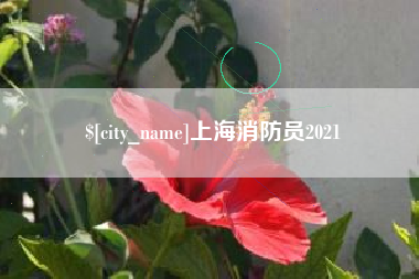 攀枝花上海消防员2021
