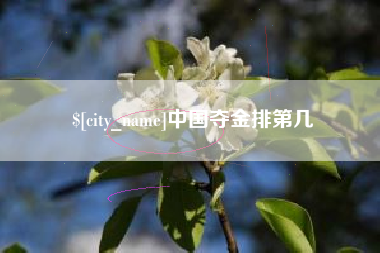 攀枝花中国夺金排第几