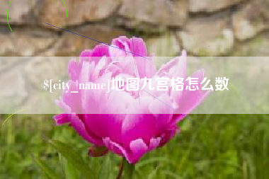 攀枝花地图九宫格怎么数