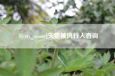 攀枝花失信被执行人杳询