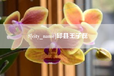 攀枝花邱县王子磊