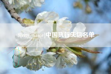 攀枝花中国执行失信名单