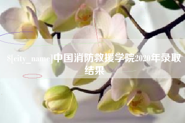攀枝花中国消防救援学院2020年录取结果