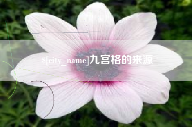 攀枝花九宫格的来源