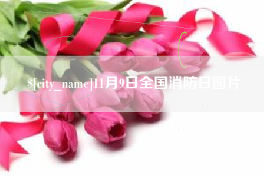 攀枝花11月9日全国消防日图片