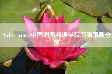 攀枝花中国消防救援学院新疆录取分数