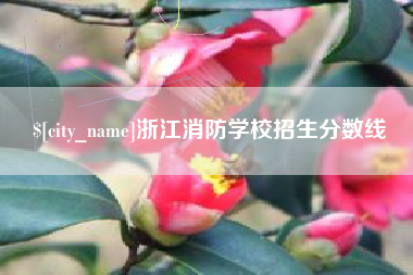 攀枝花浙江消防学校招生分数线