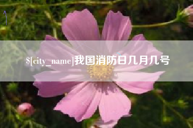 攀枝花我国消防日几月几号