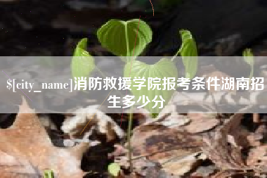 攀枝花消防救援学院报考条件湖南招生多少分