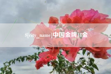 攀枝花中国金牌18金