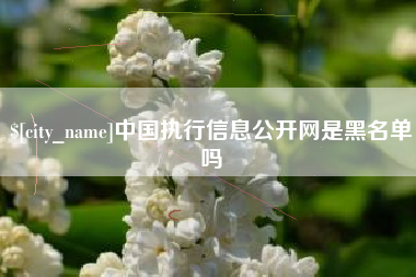 攀枝花中国执行信息公开网是黑名单吗