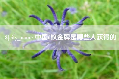 攀枝花中国6枚金牌是哪些人获得的