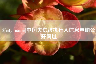 攀枝花中国失信被执行人信息查询公开网址