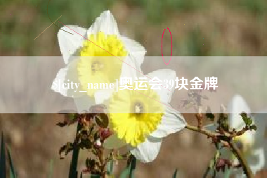 攀枝花奥运会39块金牌