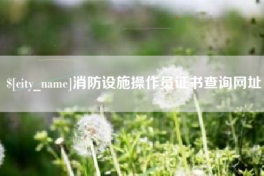 攀枝花消防设施操作员证书查询网址
