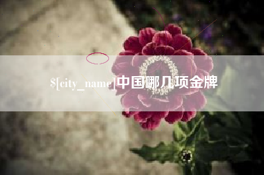 攀枝花中国哪几项金牌