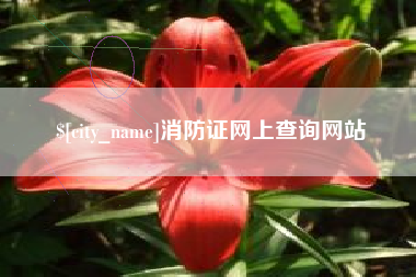 攀枝花消防证网上查询网站
