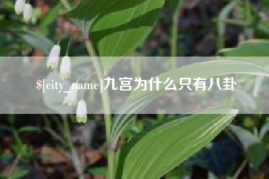 攀枝花九宫为什么只有八卦