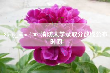 攀枝花2024消防大学录取分数线公布时间