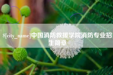 攀枝花中国消防救援学院消防专业招生简章