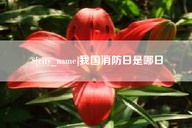 攀枝花我国消防日是哪日
